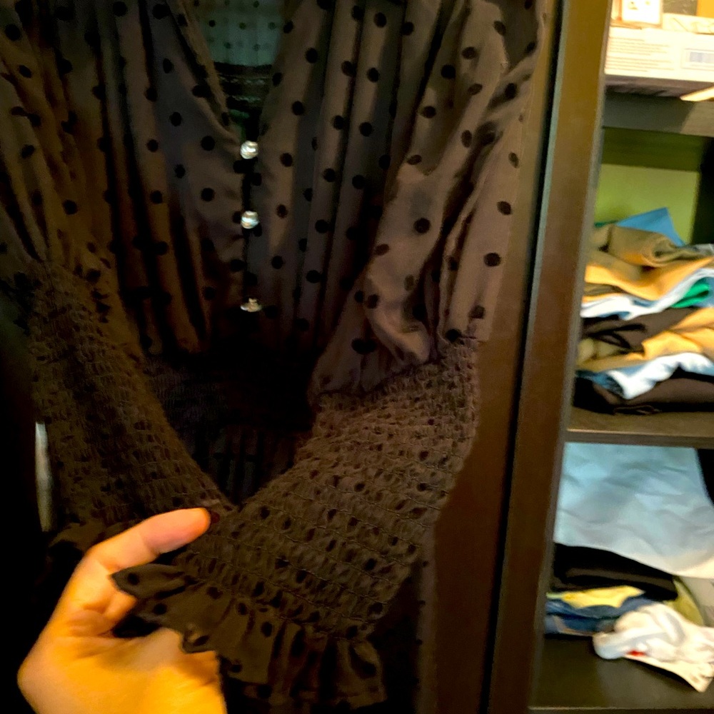 ZARA Black Mesh Dress with buttons